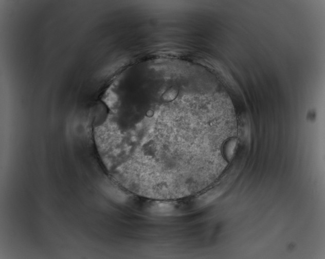 X0000100850573200807070936