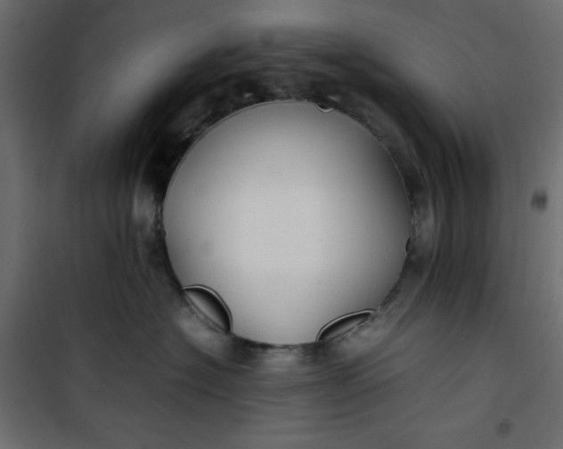 X0000100850574200807070936