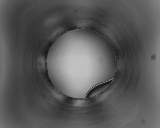 X0000100850575200807070936