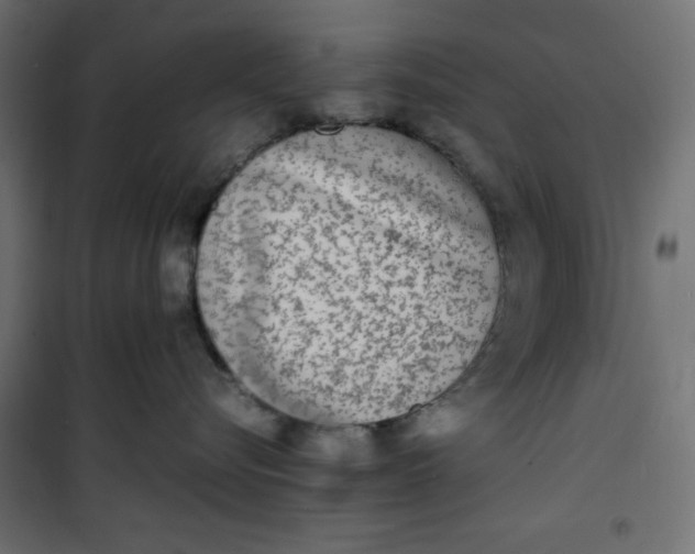 X0000100850576200807070936