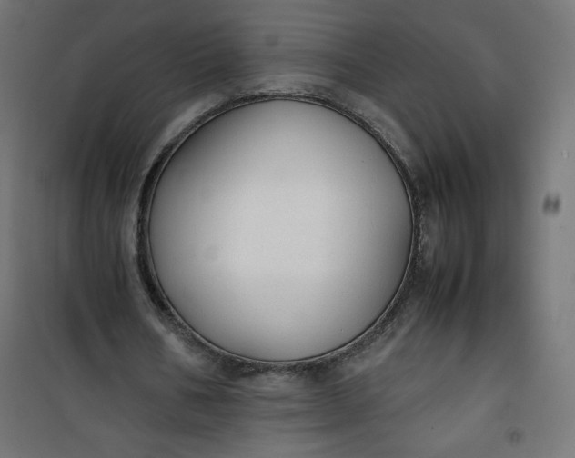 X0000100850578200807070935