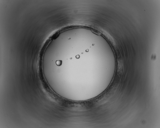 X0000100850580200807070935