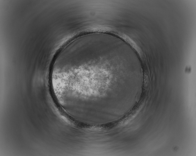 X0000100850581200807070935