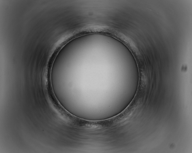 X0000100850582200807070935