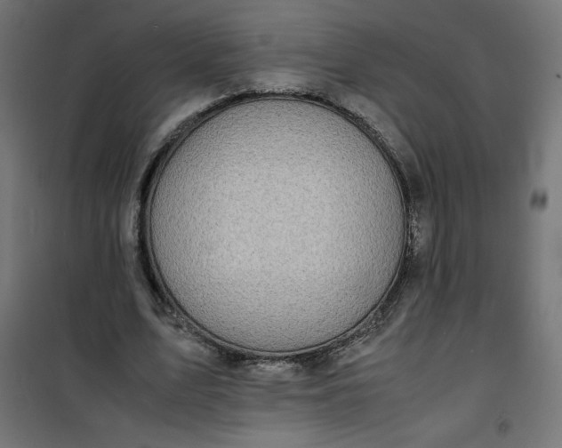 X0000100850583200807070935