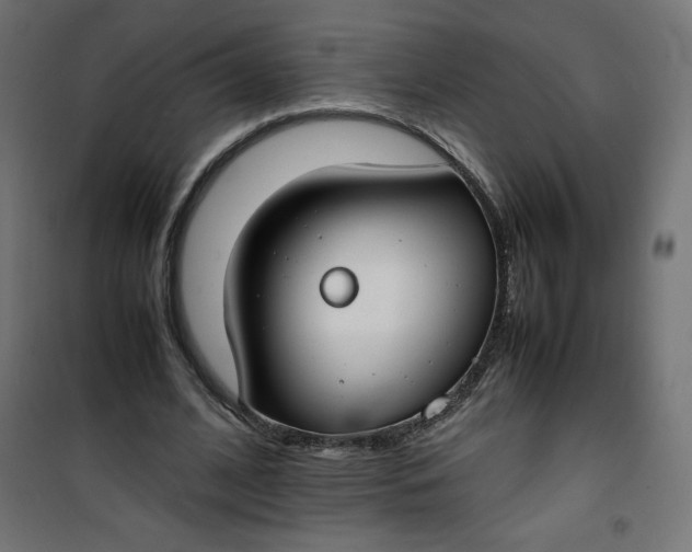 X0000100850584200807070935