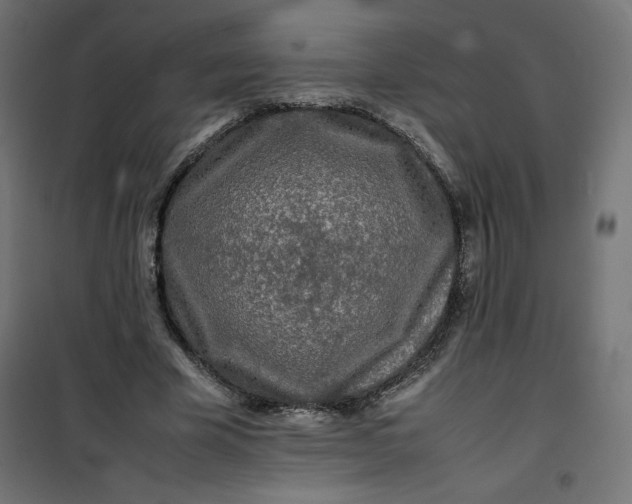 X0000100850585200807070935