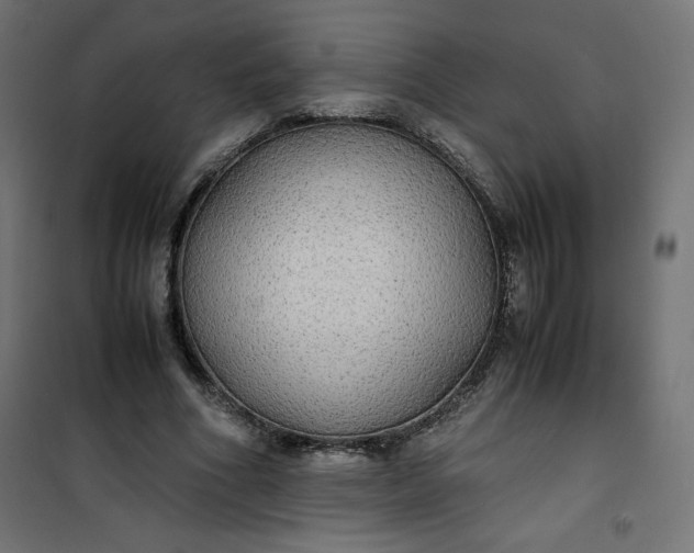 X0000100850586200807070935