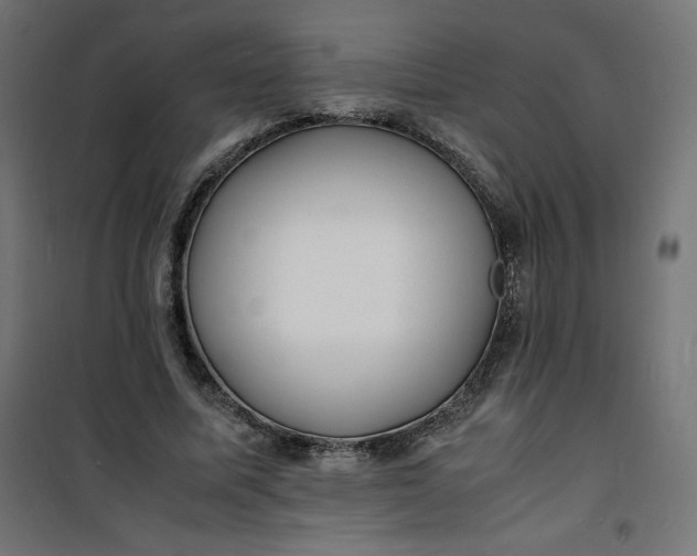 X0000100850587200807070935