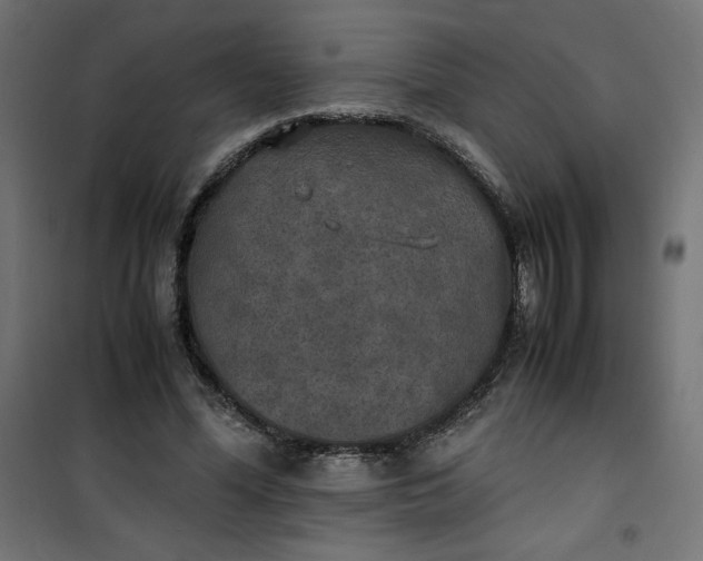 X0000100850588200807070935