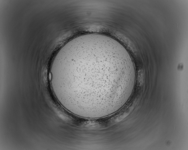 X0000100850589200807070935