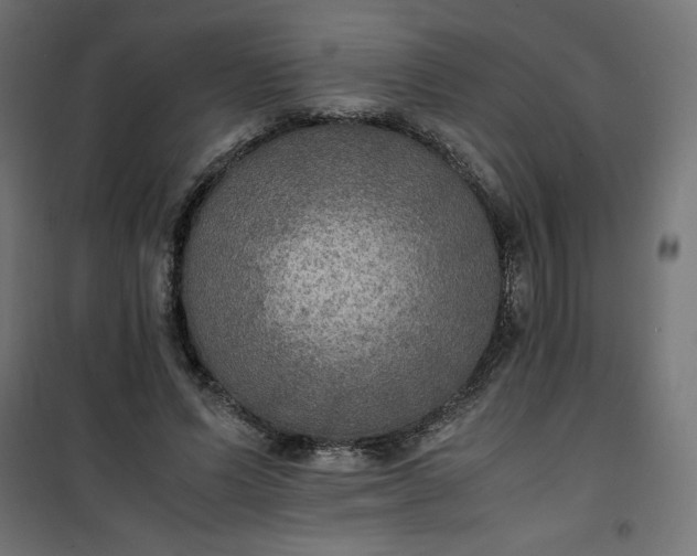 X0000100850591200807070935