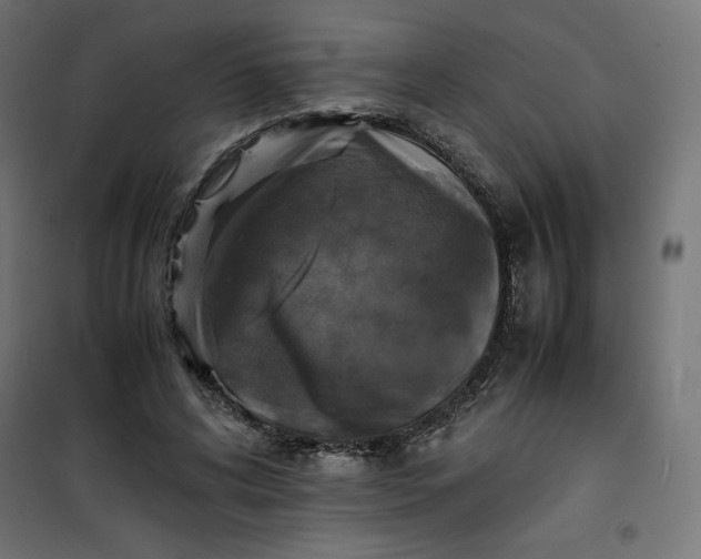 X0000100850592200807070935