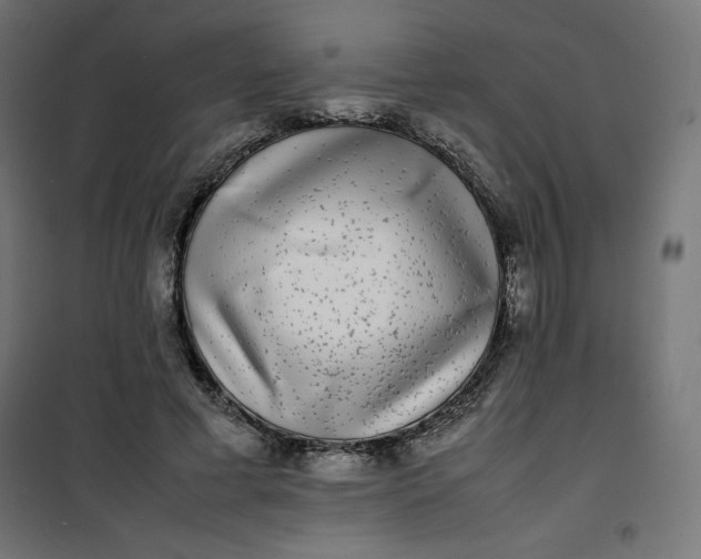 X0000100850593200807070935