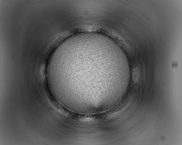 X0000100850594200807070935