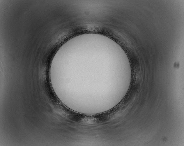 X0000100850595200807070935