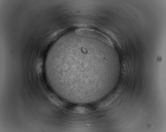 X0000100850596200807070935