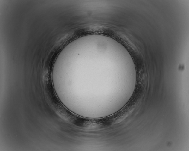 X0000100850597200807070935