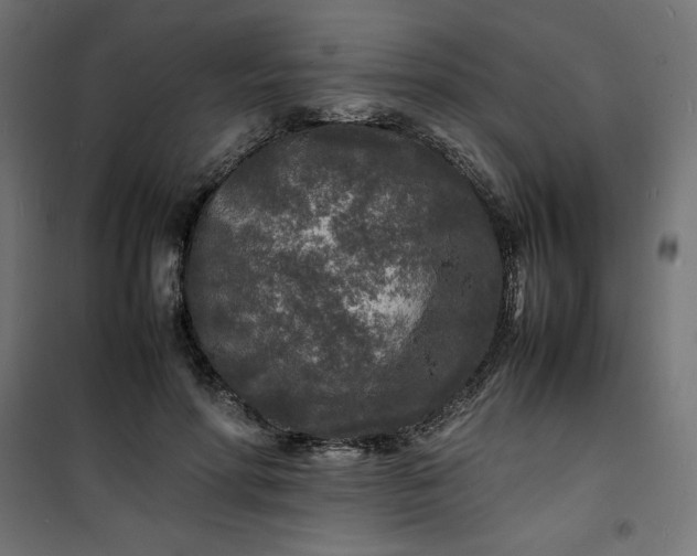 X0000100850598200807070935