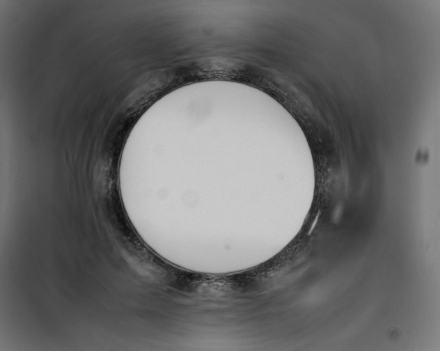 X0000100850599200807070935