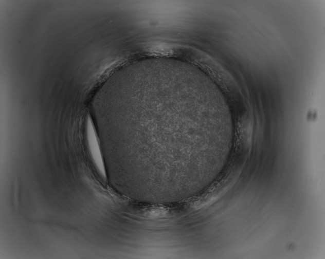 X0000100850600200807070935