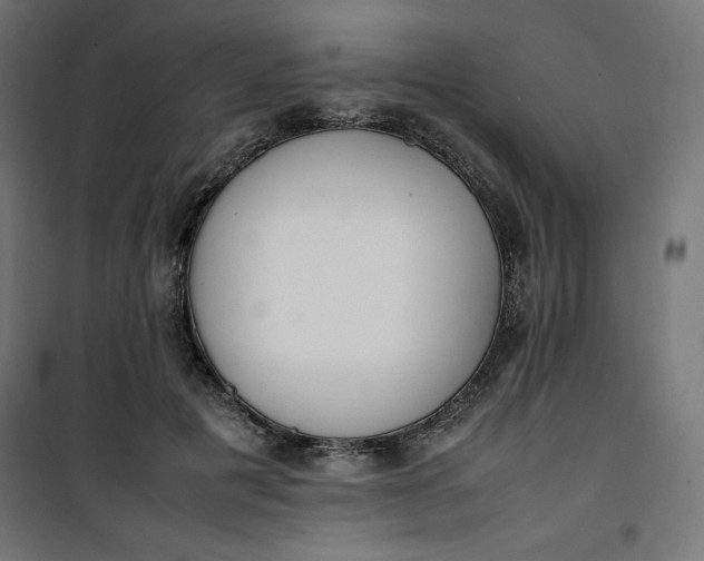 X0000100850601200807070935