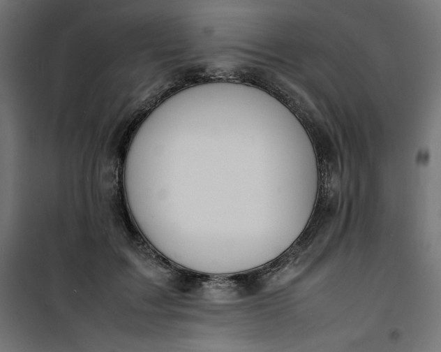 X0000100850603200807070935