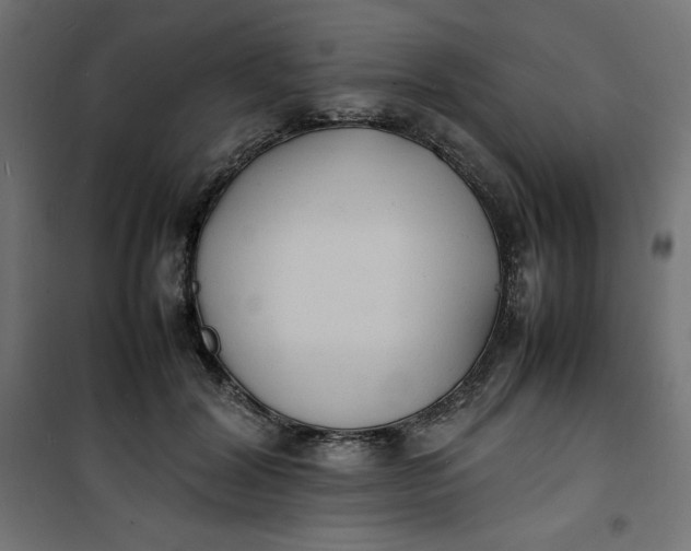 X0000100850604200807070935