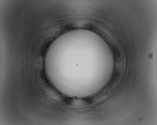 X0000100850605200807070935