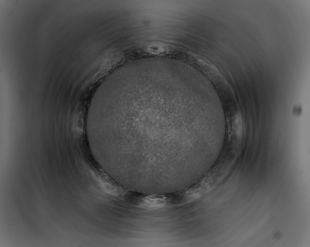 X0000100850606200807070935