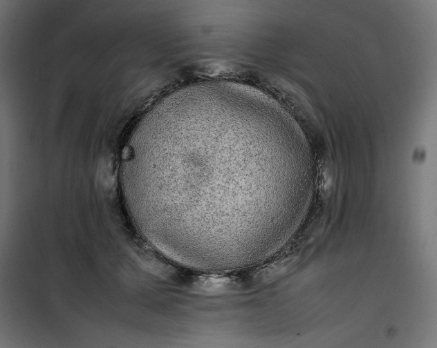 X0000100850607200807070935