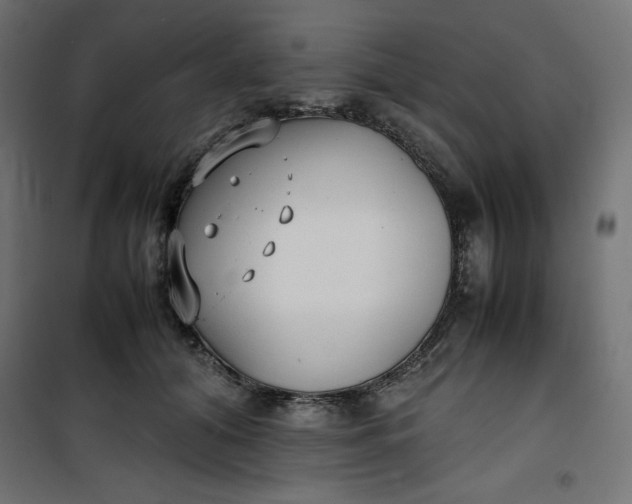 X0000100850608200807070935