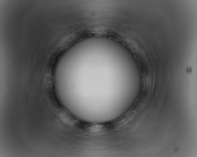 X0000100850609200807070935