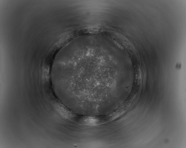 X0000100850610200807070935