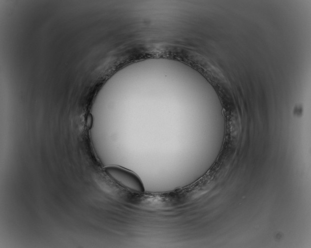 X0000100850611200807070935