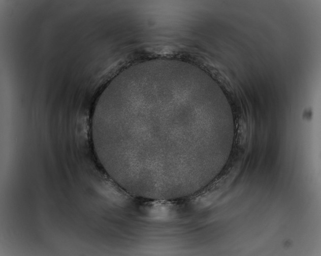 X0000100850612200807070935