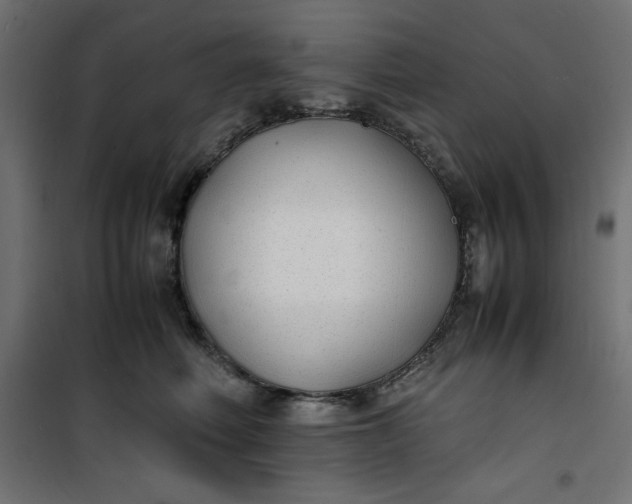 X0000100850614200807070935