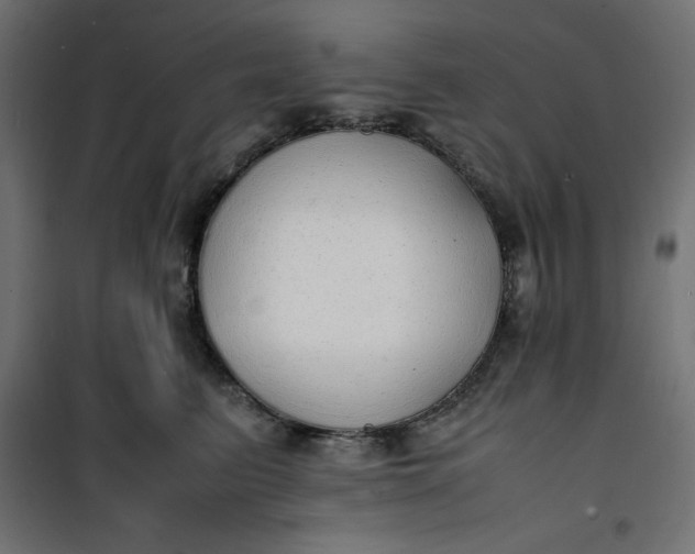 X0000100850615200807070935