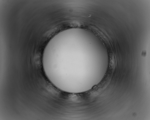 X0000100850616200807070935