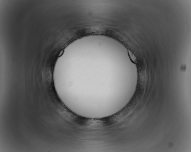 X0000100850617200807070935