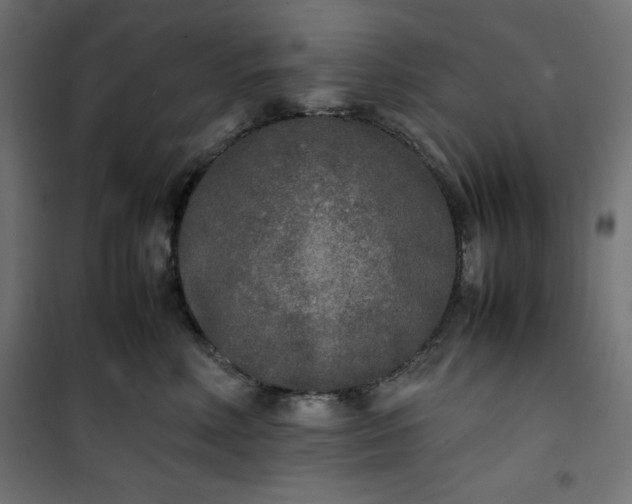 X0000100850618200807070934