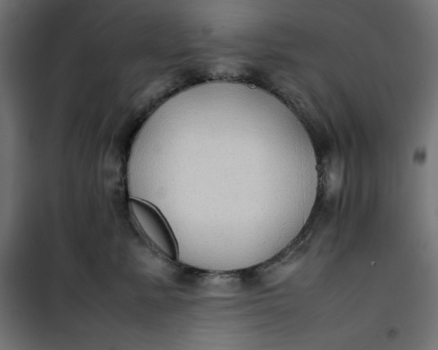 X0000100850619200807070934