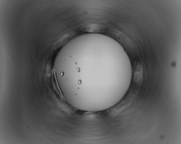 X0000100850620200807070934