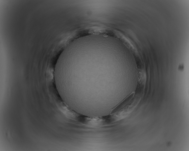 X0000100850621200807070934