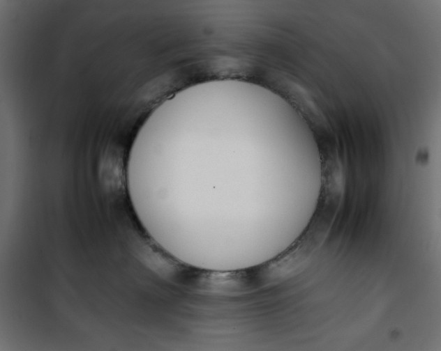 X0000100850622200807070934