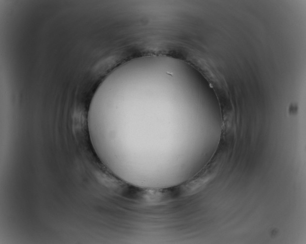 X0000100850623200807070934