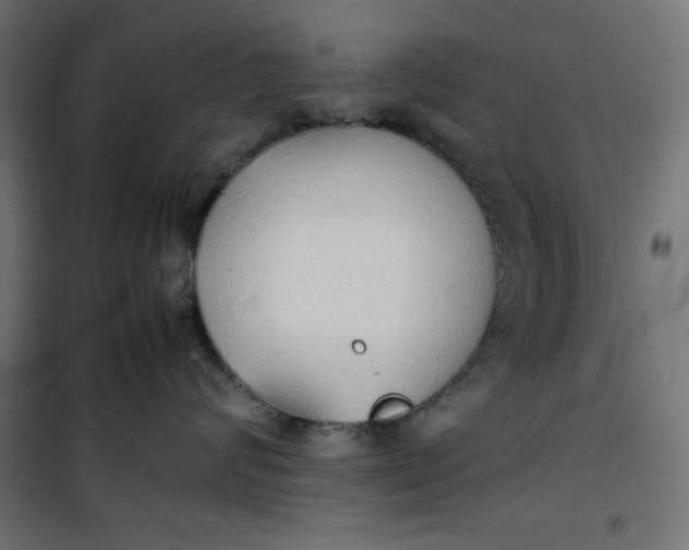 X0000100850624200807070934