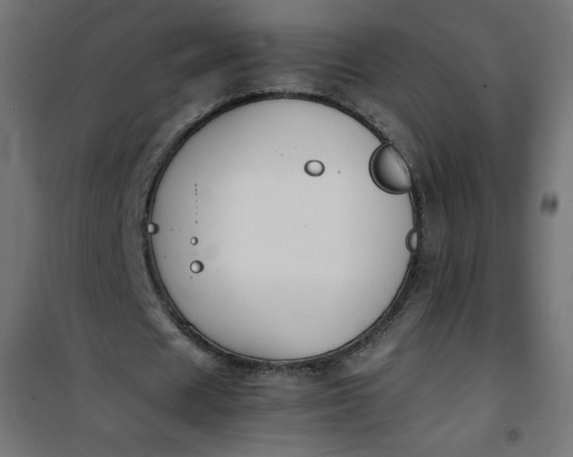 X0000100850625200807070934