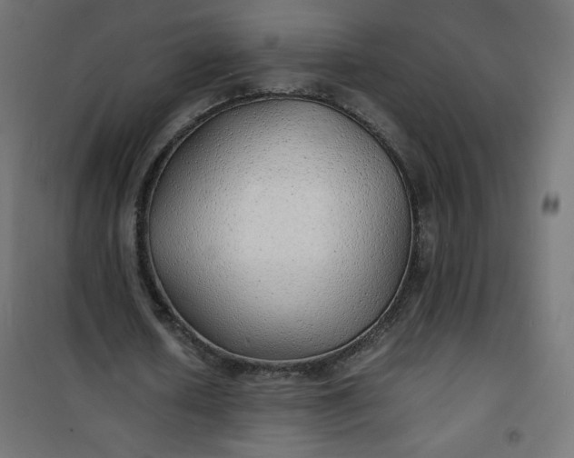 X0000100850626200807070934