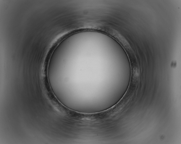 X0000100850628200807070934